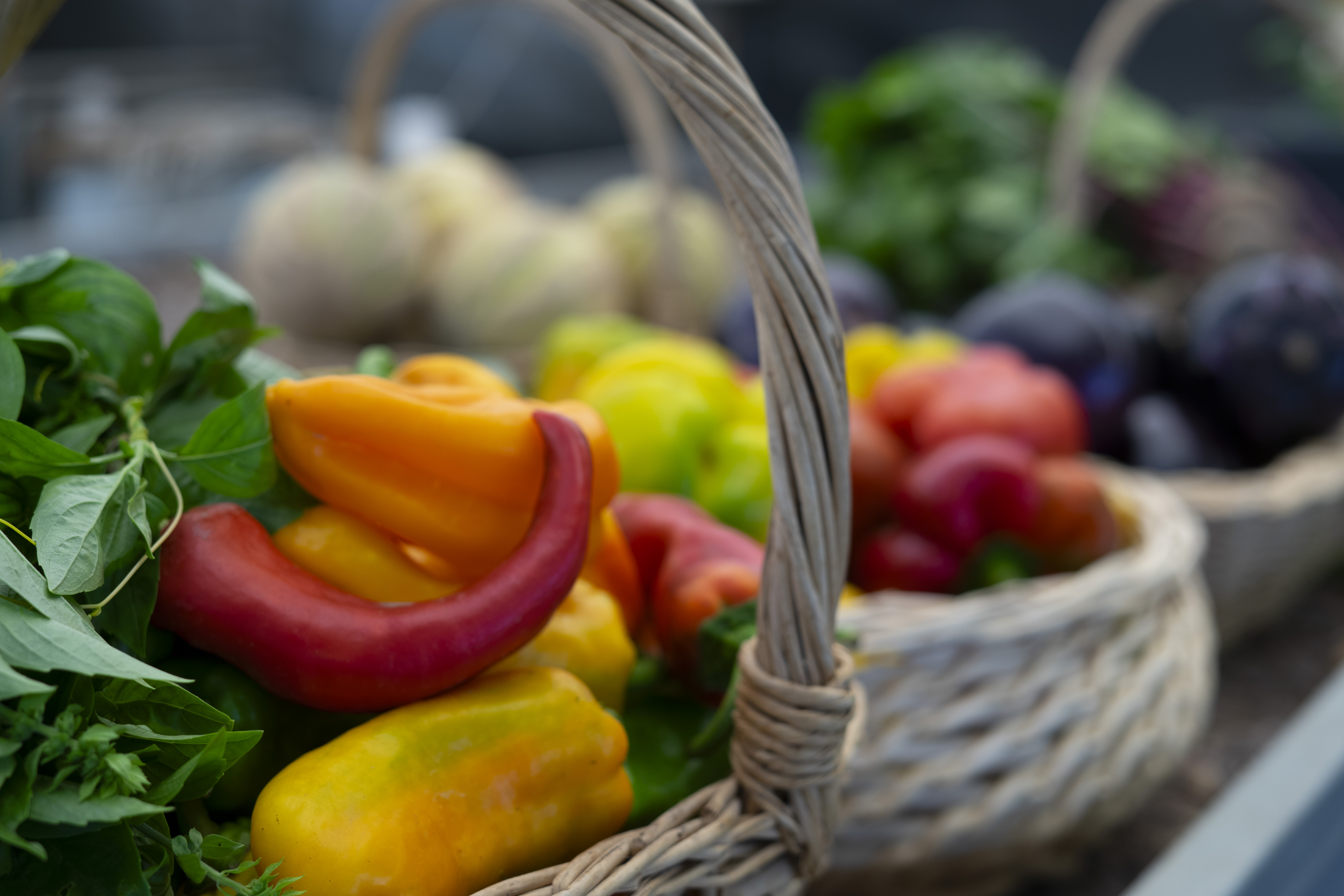 Paniers de légumes, Orto Bioattivo, Florence - Grazie Gigi