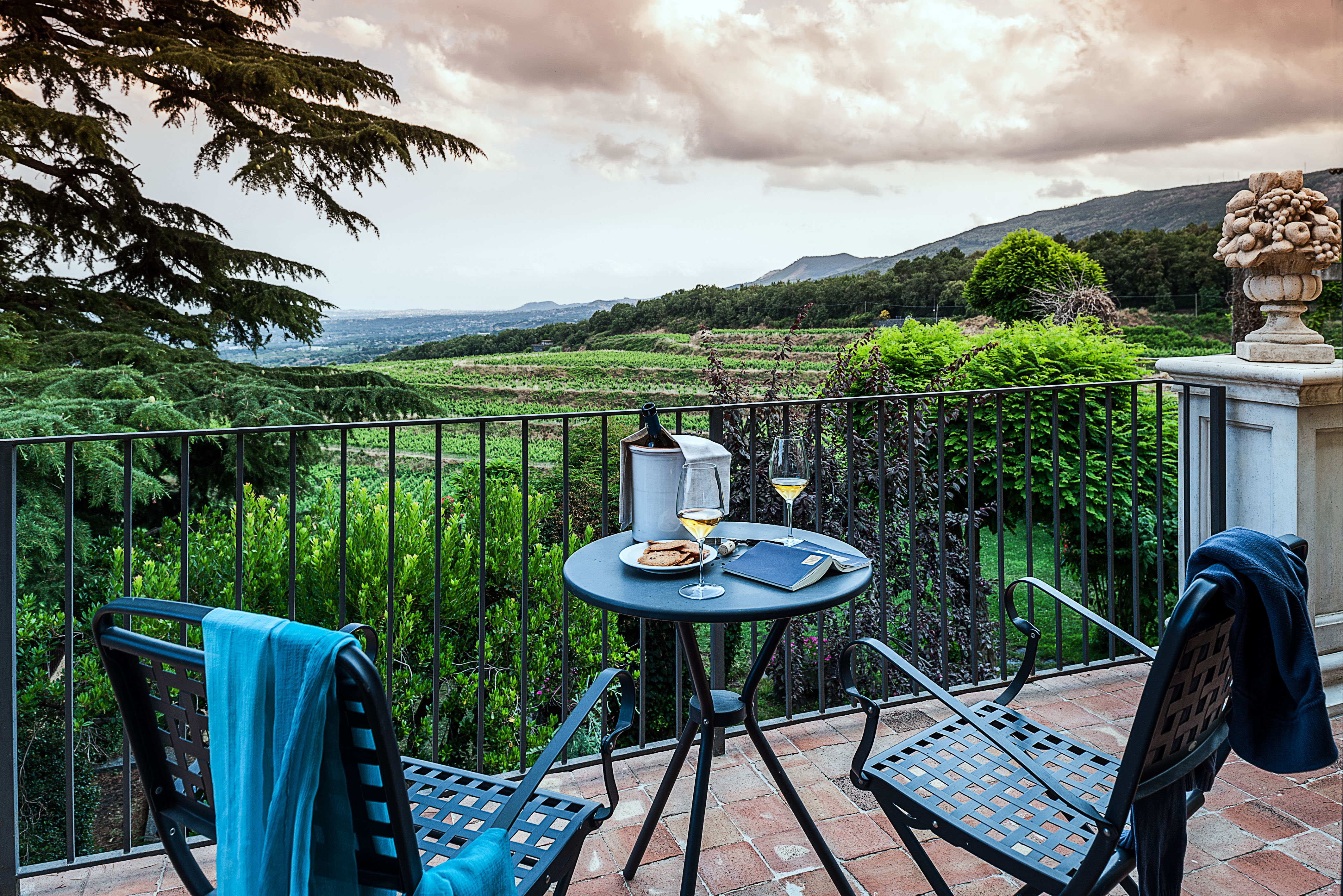 Verre de vin en terrasse vue sur les vignes - Grazie Gigi