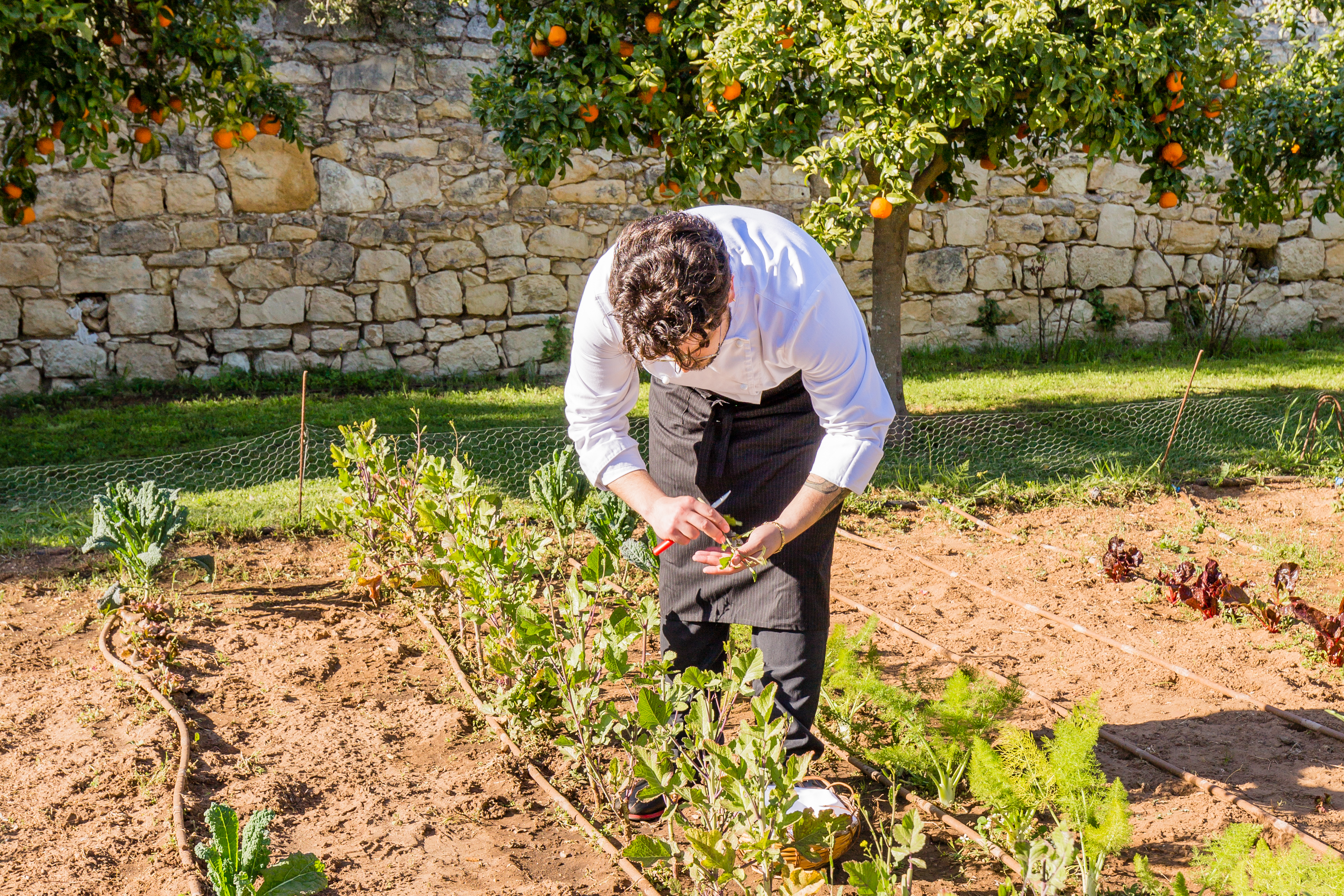 Un potager en Sicile, cuisine de saison - Grazie Gigi